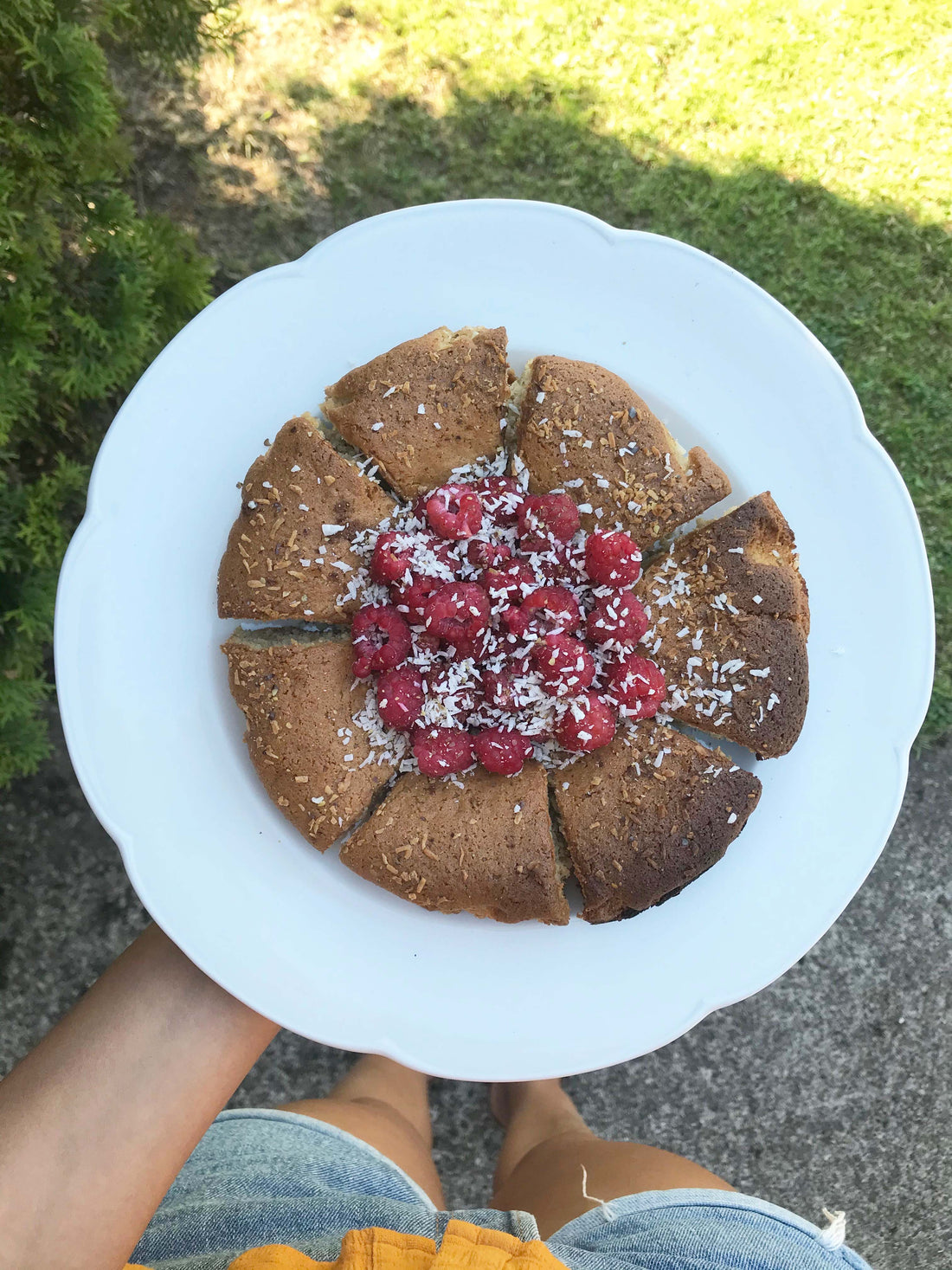 Berry Latte Sponge Cake wellness lab
