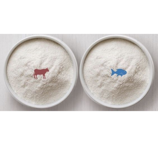 Marine Collagen vs. Bovine Collagen: Which One Is Right for You?
