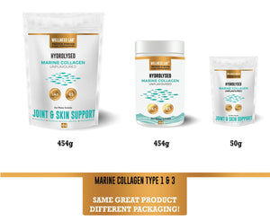 Sample Marine Collagen | 5 servings - Wellness Lab®